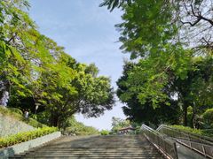 -深圳国际园林花卉博览园