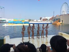 -秦皇岛乐岛海洋王国