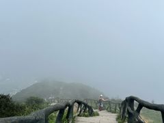 -梧桐山风景名胜区