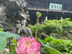 -个园