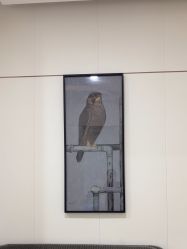 -AIST爱思特医疗美容医院