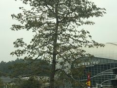 -宝能国际体育演艺中心