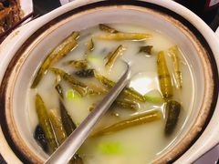 -优之名鹅城