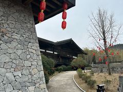 -大唐贡茶院