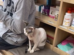 -宠福鑫康馨动物医院·骨科·眼科