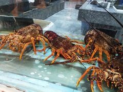 -海逸海鲜酒家(古北店)