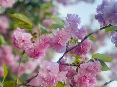 -郑州中国绿化博览园