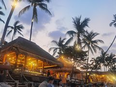 -Coco Tam’s