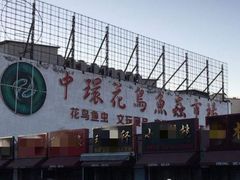 -中环花鸟鱼虫市场
