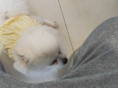 -怪兽屋·羊驼·猫咖·狗咖(俊华广场店)