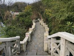 -花溪公园