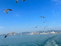 -刘公岛景区