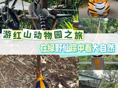 -红山森林动物园