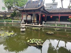 -碧江金楼