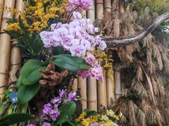 -北京植物园-展览温室