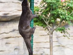 -上海野生动物园