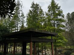 -宝界山林公园