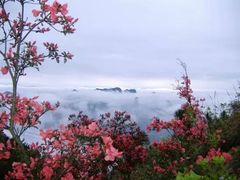 -王顺山国家森林公园