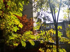 -山东大学(千佛山校区)