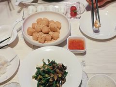 -大树餐厅(益田假日店)