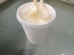 -洪馨椰子