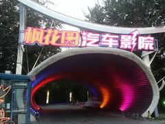 -枫花园汽车电影院(朝阳公园店)
