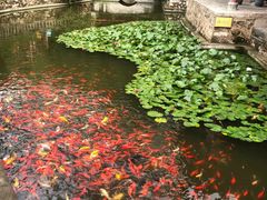 -华清宫景区
