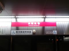 -捷运美丽岛站(The Dome of Light)