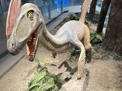 -辽宁古生物博物馆