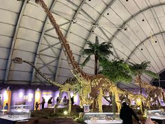 -辽宁古生物博物馆