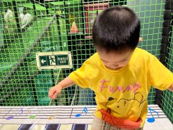 -MELAND CLUB亲子乐园·派对·餐厅(北京芳圆里ID MALL店)