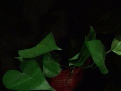 -观唐足道SPA养生会馆(南湖店)