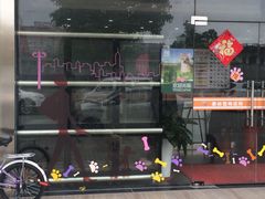 -暖阳宠物医院·犬猫康复中心·骨科