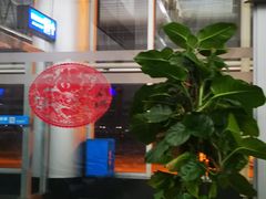 -黄山屯溪国际机场