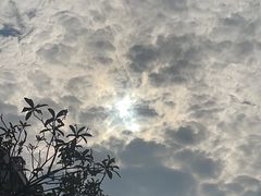 -巴公房子