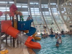 -广西体育中心-游泳馆