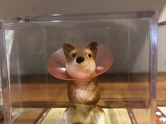 -柴务处·柴犬主题狗咖