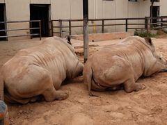 -鄂尔多斯野生动物园