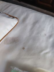 -青青一生美皮肤管理