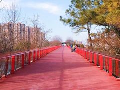 -青枫公园