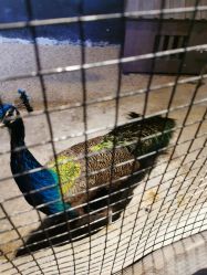 -酷嗒动物文化乐园(cutezoo西溪乐天城店)