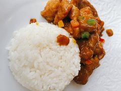 咖喱鸡腿肉带米饭-莫斯科餐厅