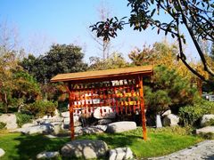 -思念果岭悦温泉
