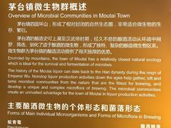 -中国酒文化城