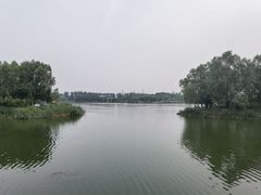 -马家湾湿地公园