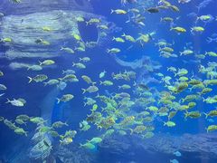 -多彩贵州城极地海洋世界