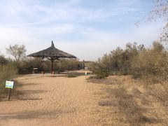 -黄沙古渡原生态旅游区