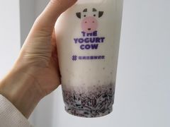 -一只酸奶牛(奎星楼店)