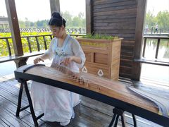 -溱湖国家湿地公园