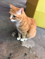 -八佰伴8008星级形象店